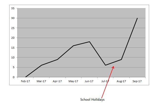 niche service seo case study